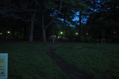 P5220206