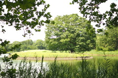 P7020010