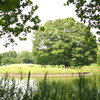P7020010