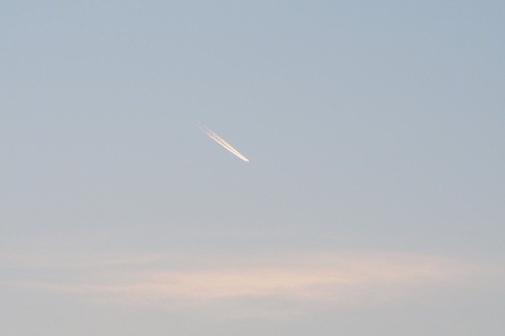 P5220227