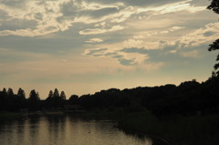 P7020099