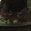 P8200543