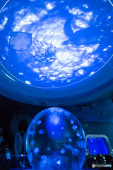 新江ノ島水族館 その２