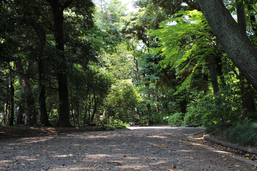 旧古河庭園