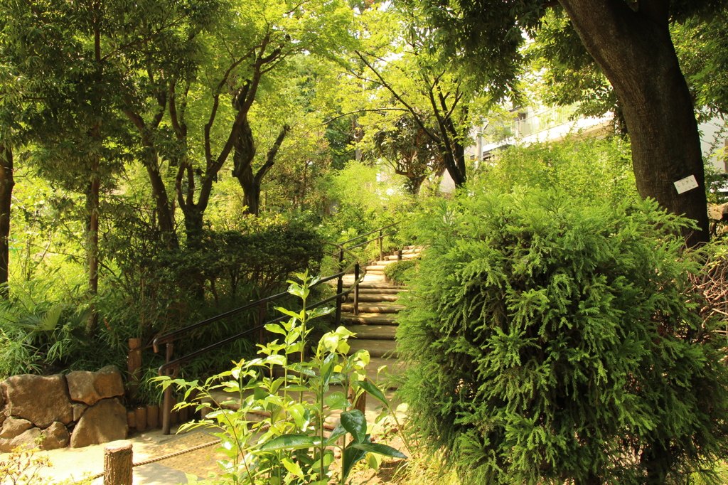 鍋島松濤公園