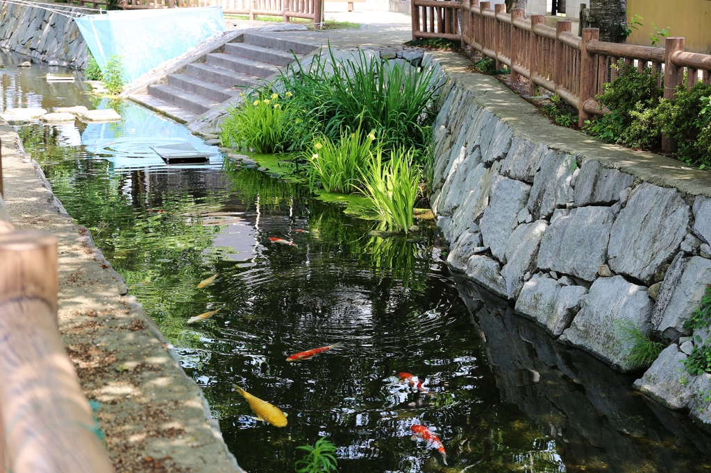 涼を求めて