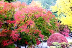 大窪寺の紅葉
