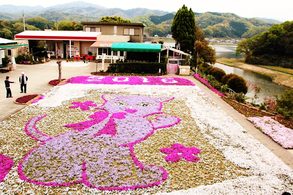 カフェジャルダンの芝桜2016②