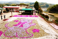 カフェジャルダンの芝桜2016②