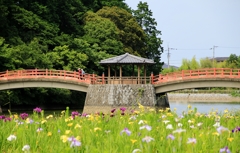 夫婦仲良く