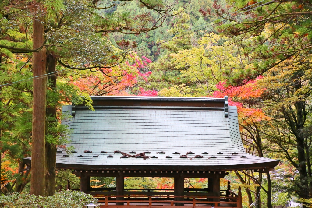 大窪寺の紅葉