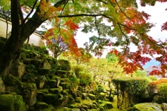 大窪寺の紅葉