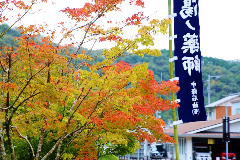 塩江道の駅の紅葉