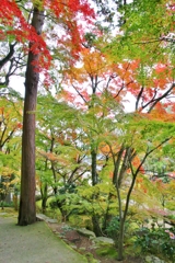大窪寺の紅葉