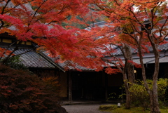 湯布院　金鱗湖 8