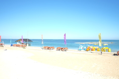 南国のリゾートホテル