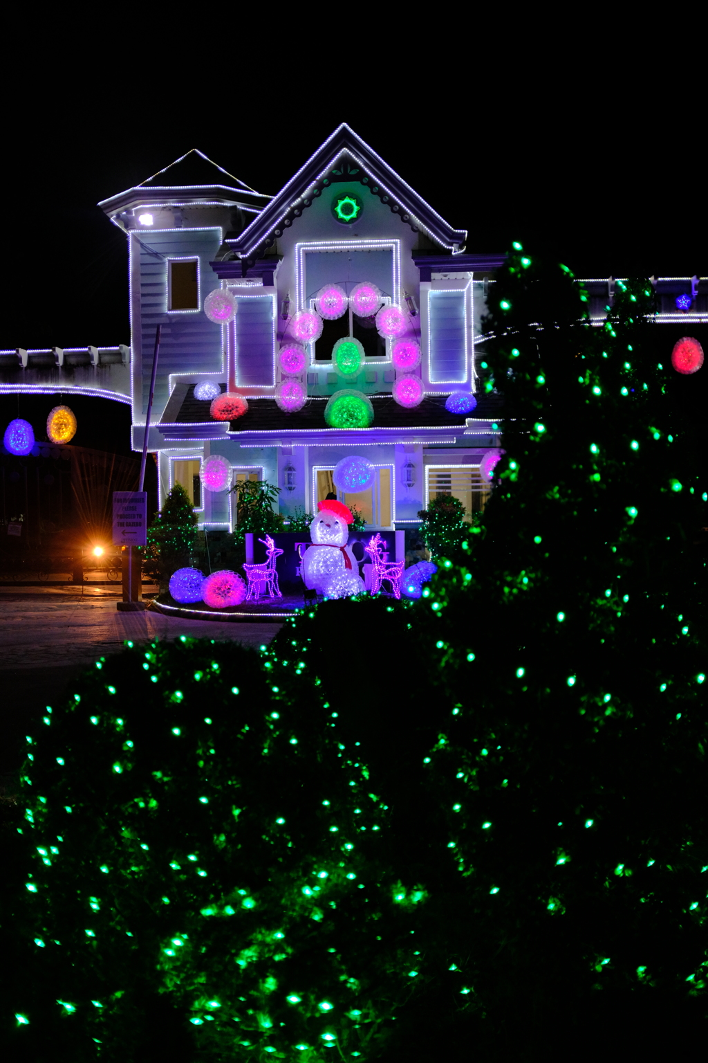 そっと覗いてみた