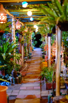 どこでもドア？