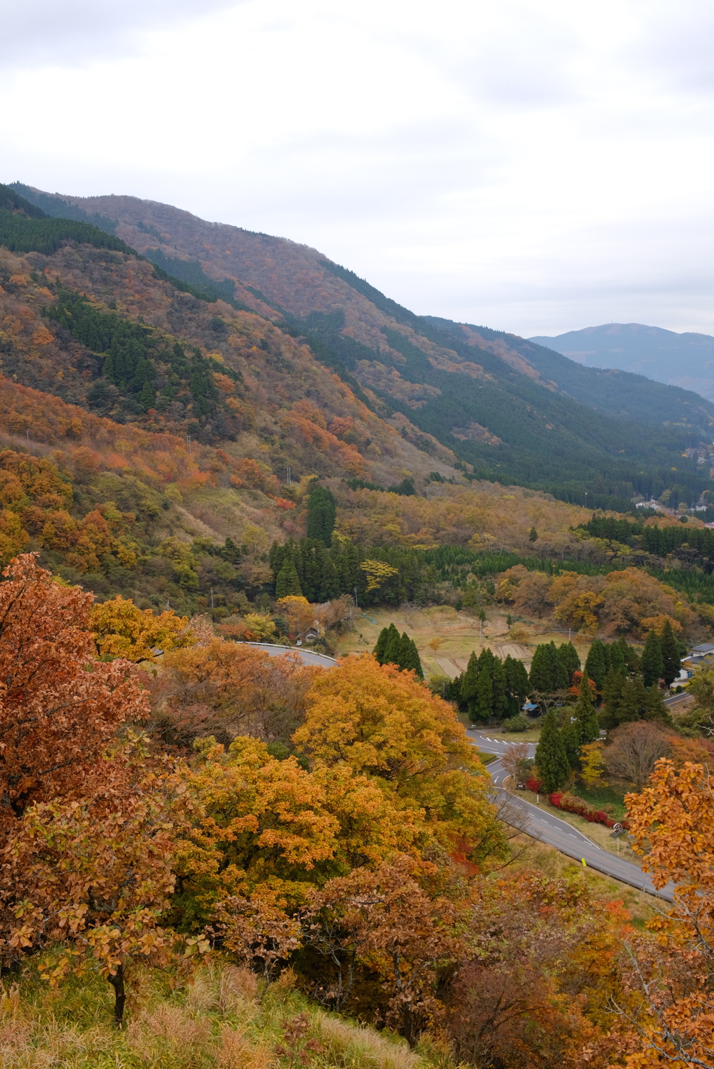 由布岳からの景色