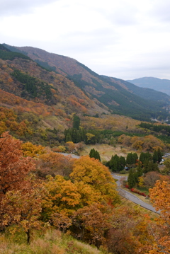 由布岳からの景色