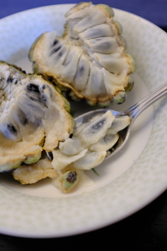 南国のフルーツ