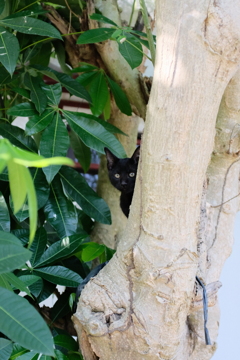 最近のお気に入りの場所