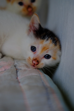 このままでいいよ