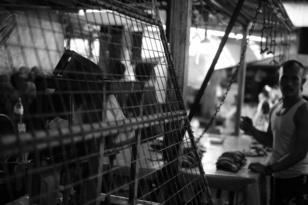 マーケットにて 2