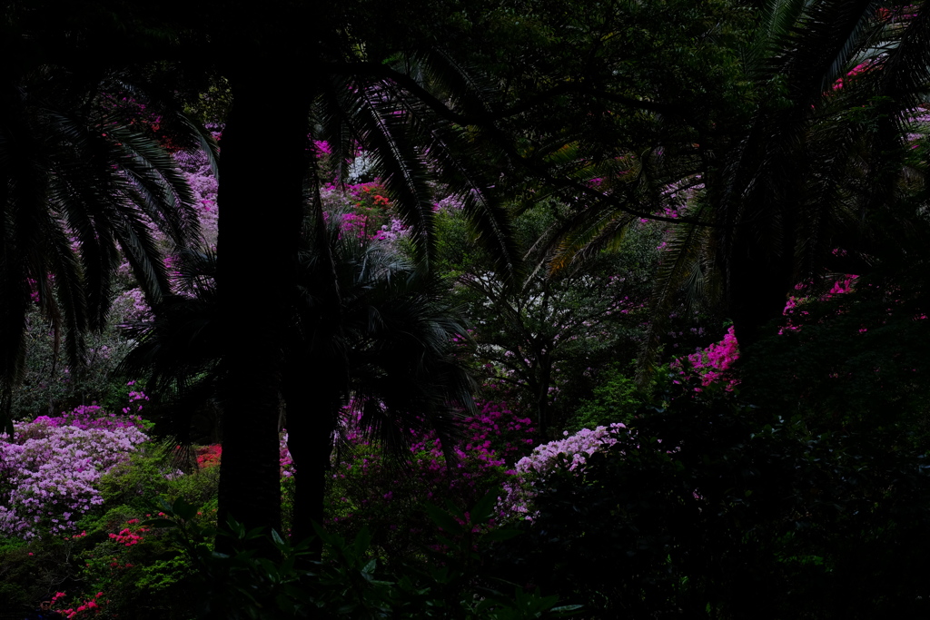 ここを抜ければ楽園