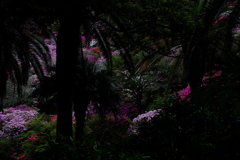 ここを抜ければ楽園