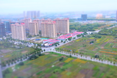 DSCF8936