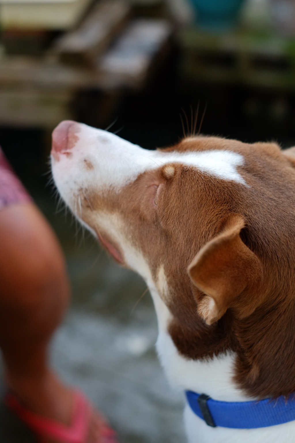 僕もいますけど...