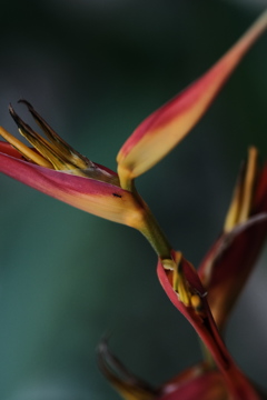 今度はマクロで