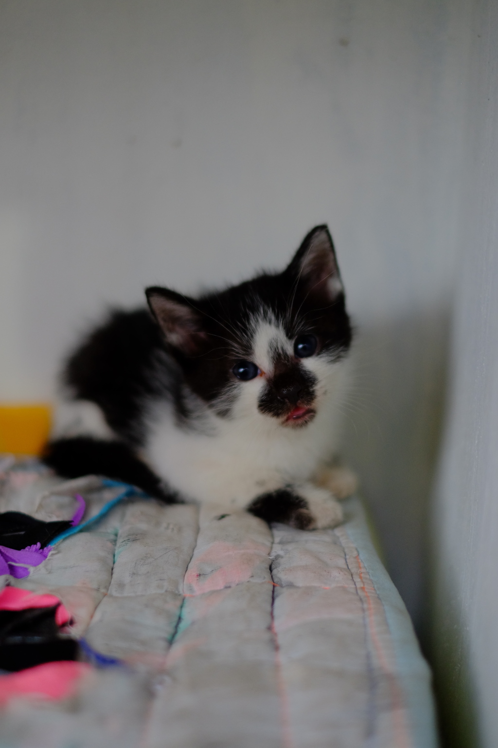 このままでいいよ 2