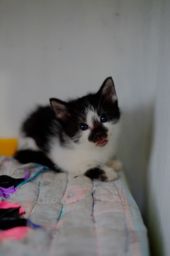 このままでいいよ 2