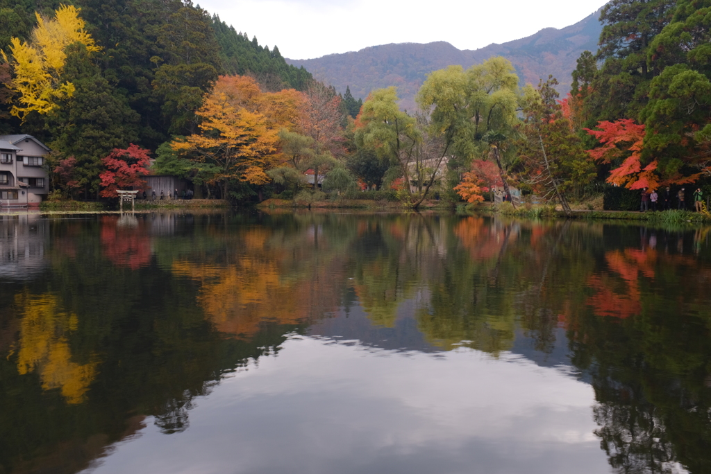 湯布院　金鱗湖 1