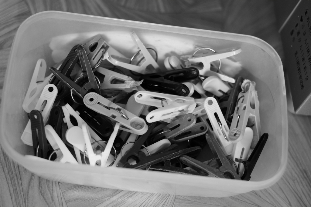 洗濯日和が帰ってきた