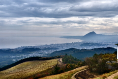 別府の街と高崎山