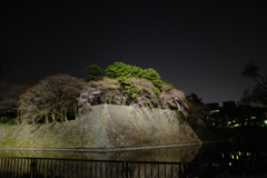 名古屋城 １