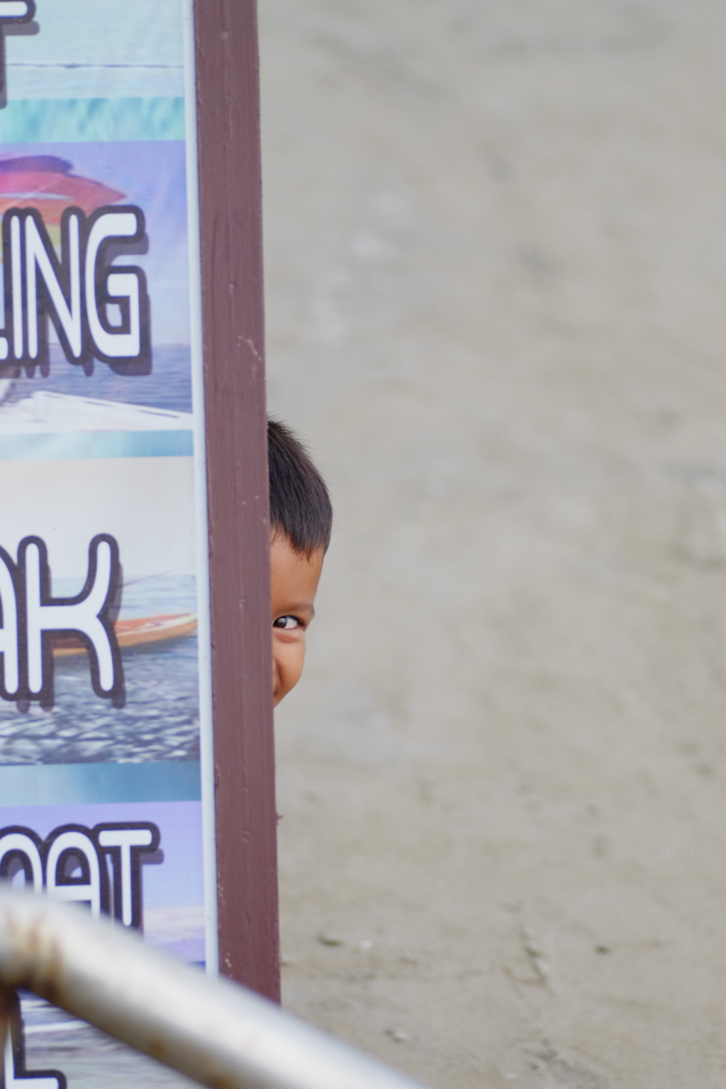 ひっこりはん 1