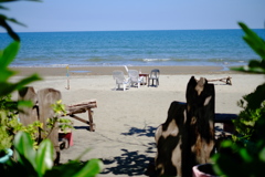 どこでもドアの向こう側は楽園