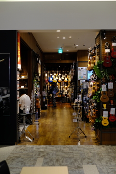 魅惑のゾーン