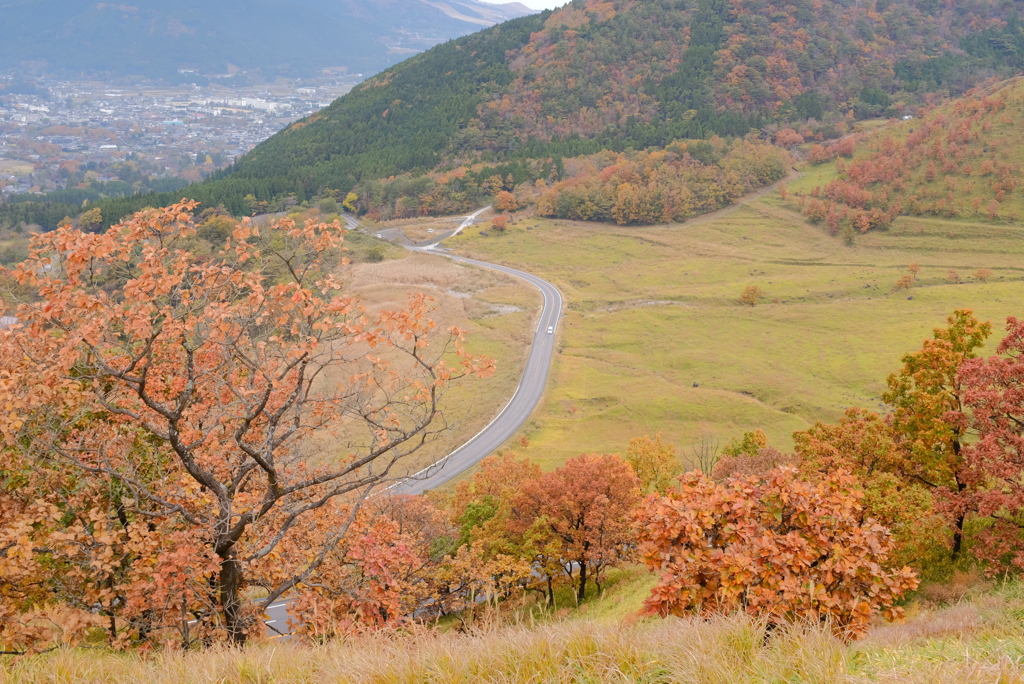 いざ、湯布院へ