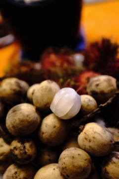 南国のフルーツ ランソーネス