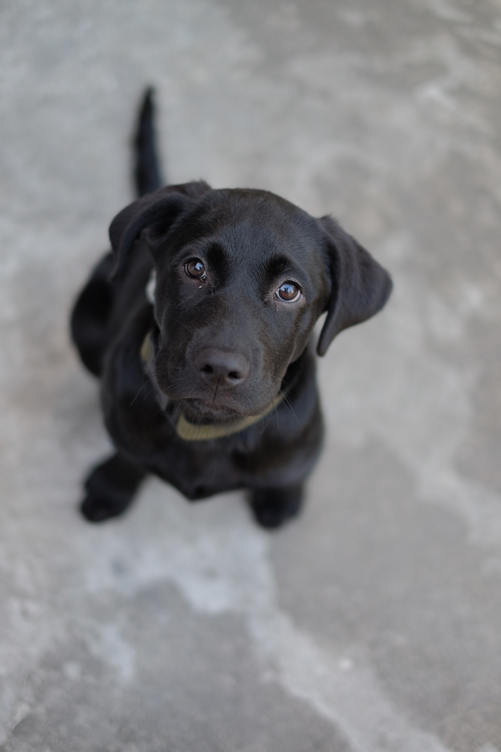 元気に育ってほしい