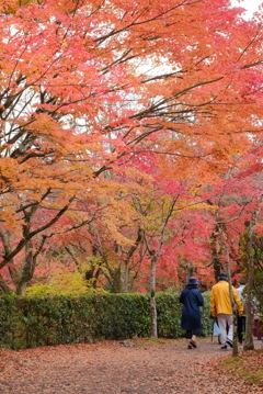 湯布院　金鱗湖 2