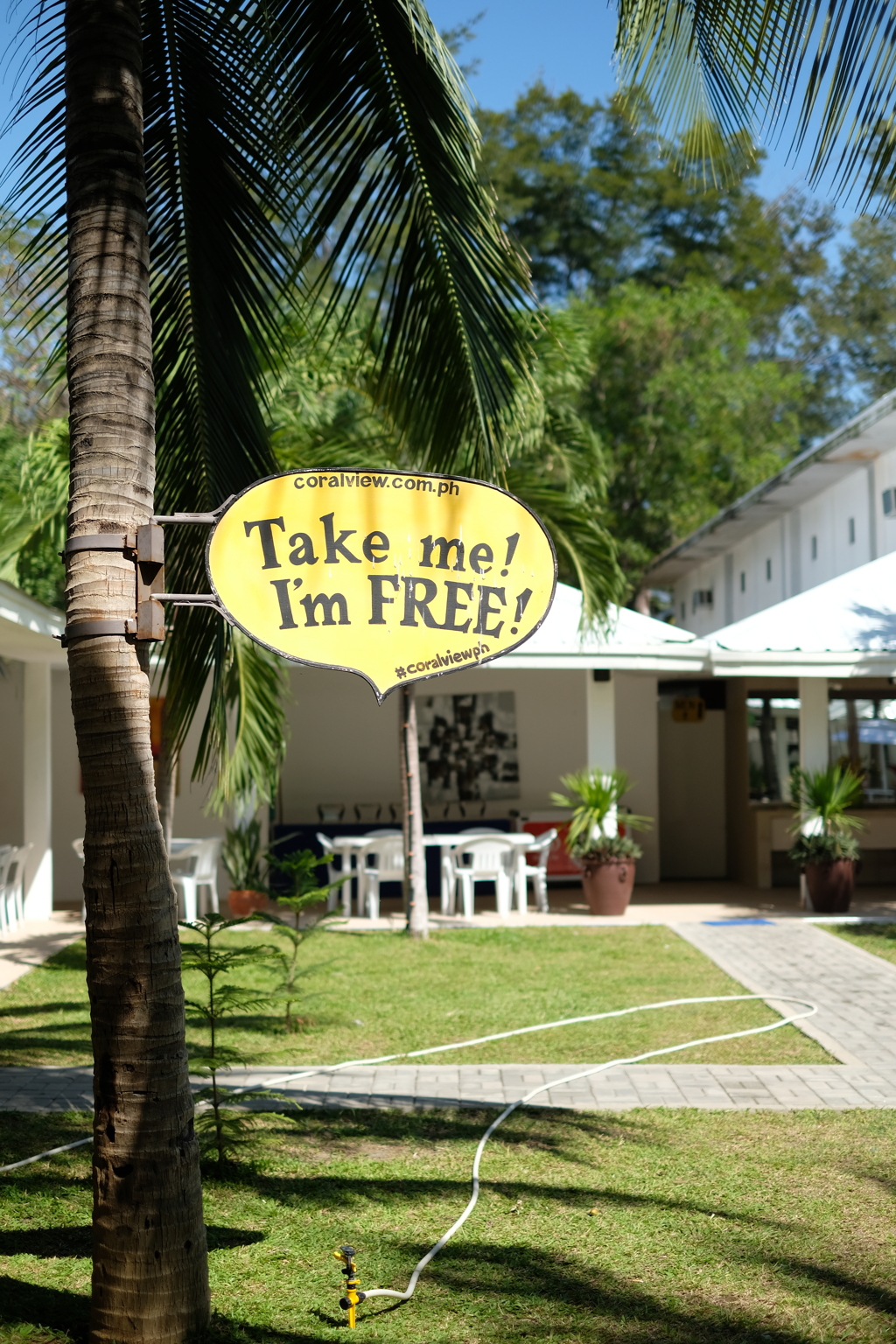 でも、誰もいない、遅かったか！