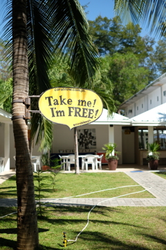 でも、誰もいない、遅かったか！