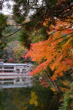 湯布院　金鱗湖 5