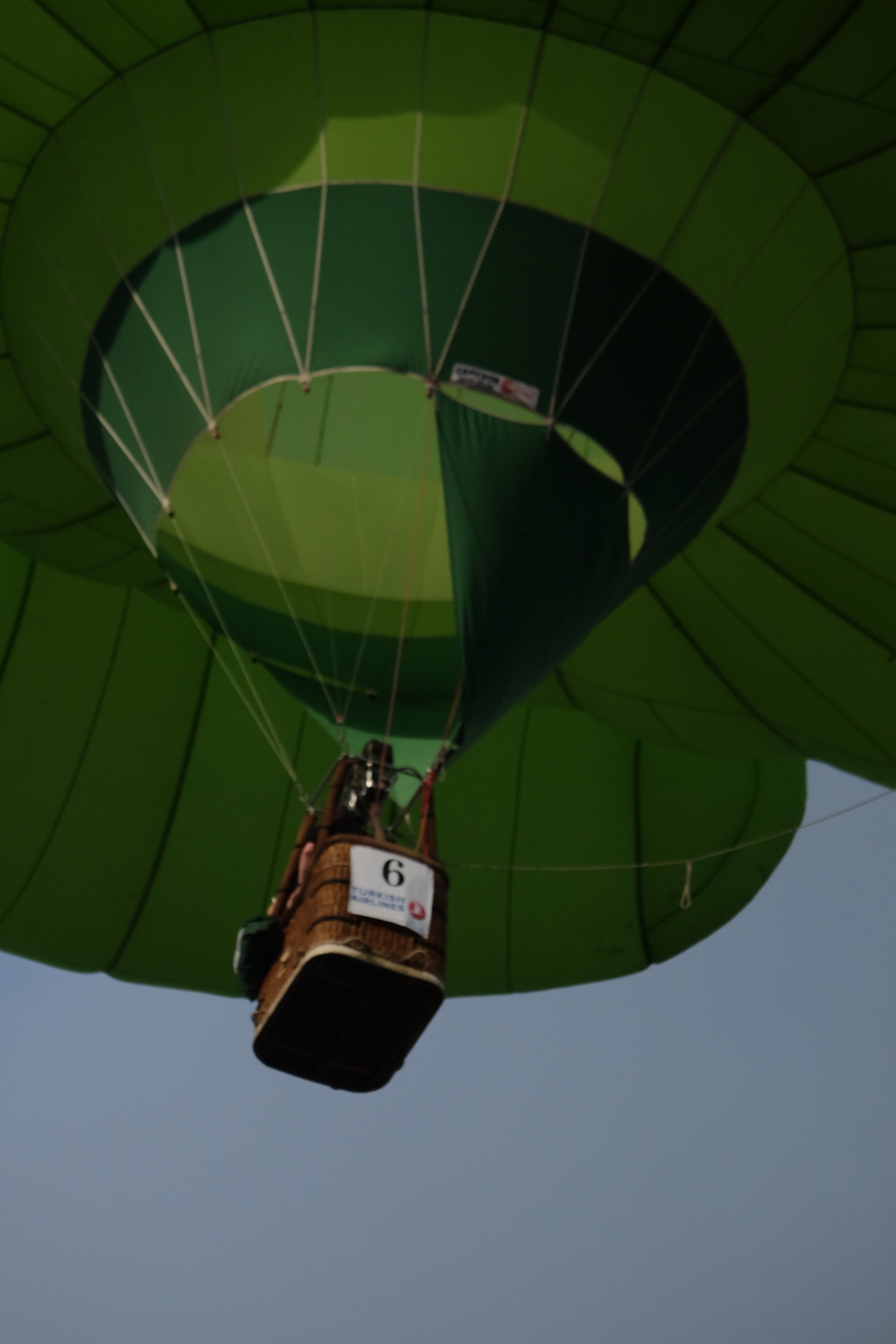 エアーバルーン フェスティバル 2018